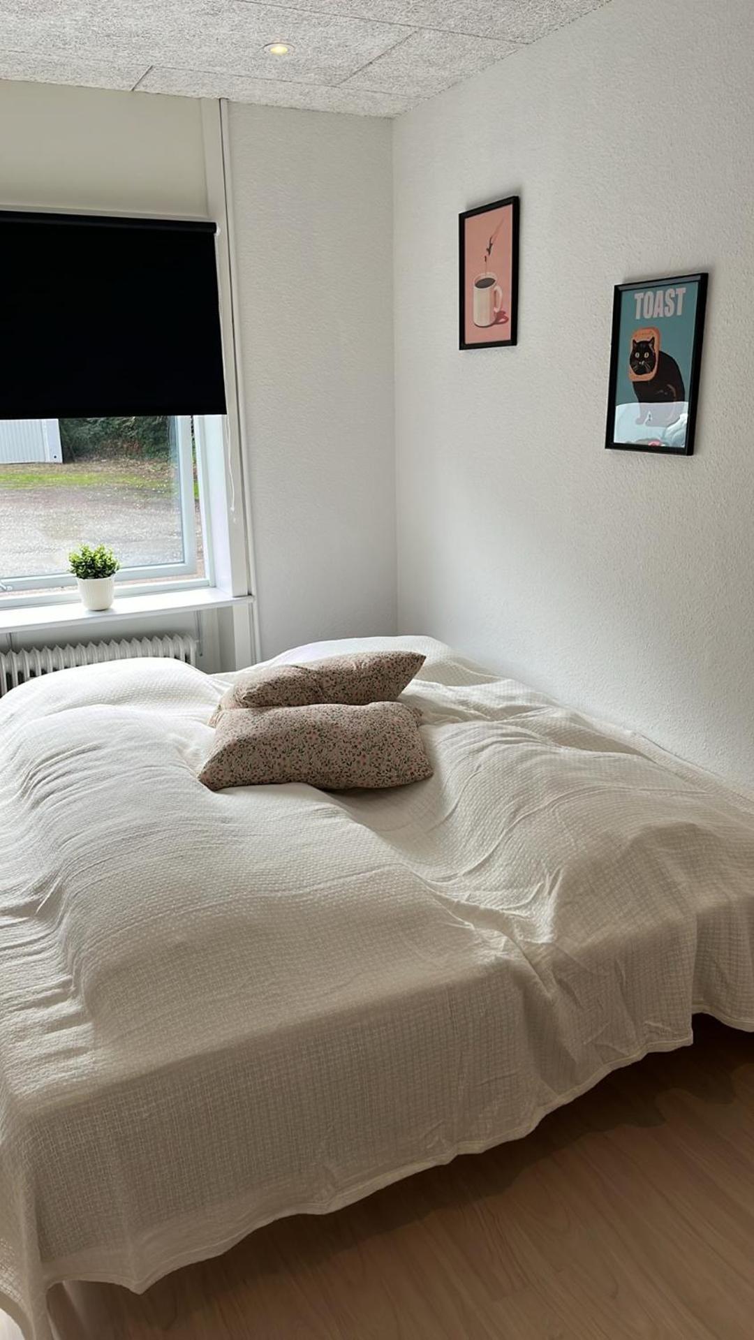 Billund Mini Hostel Room 10 - Taet Pa Legoland Og Lego House المظهر الخارجي الصورة
